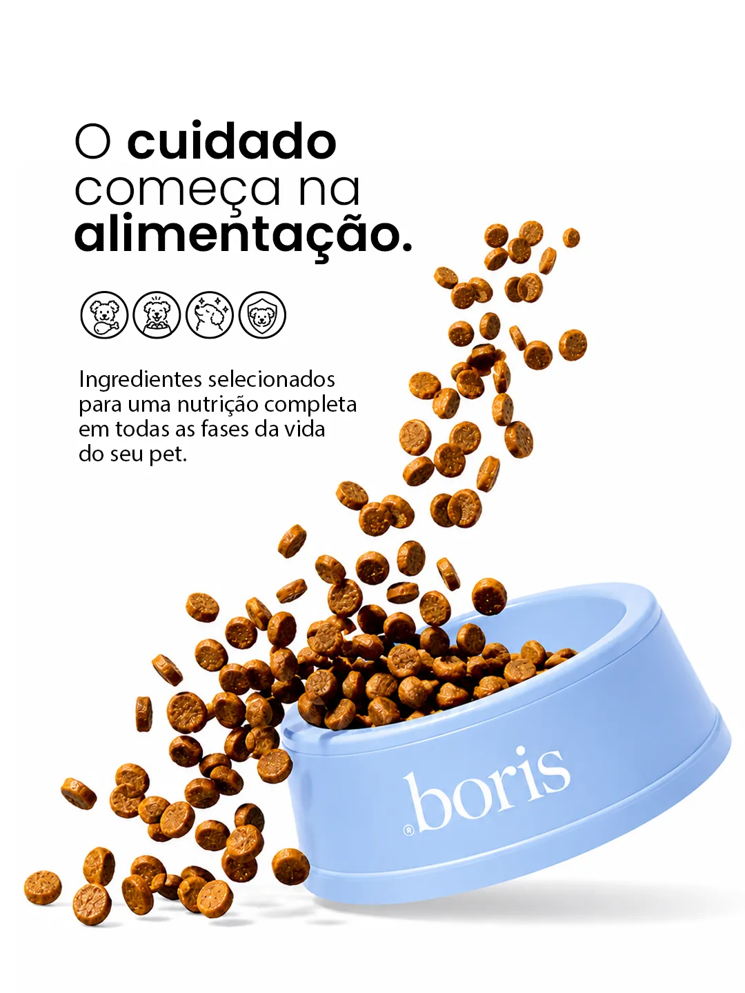 Post Boris sobre alimentação